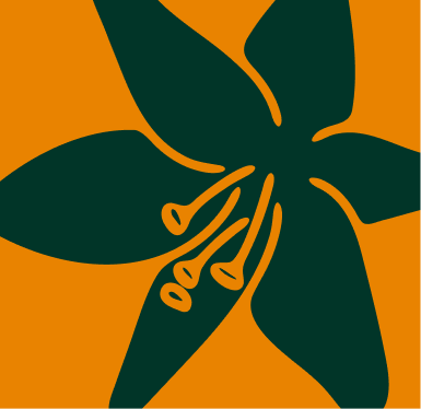 1-orange.png
