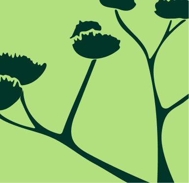 1-white-green.png