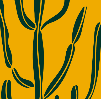 1-yellow.png