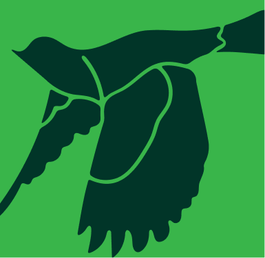 2-green.png
