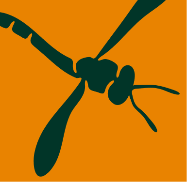 2-orange.png