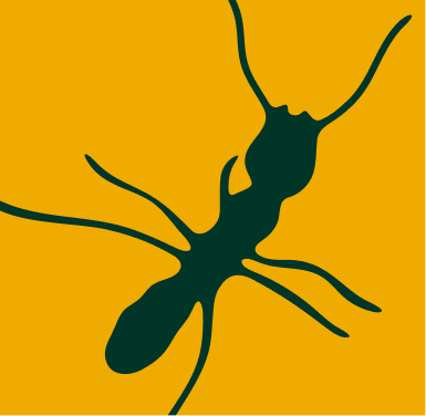 2-yellow.png